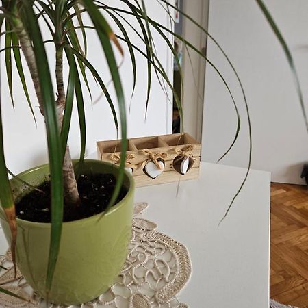 Cosy Apartment In The Heart Of Skopje Bagian luar foto
